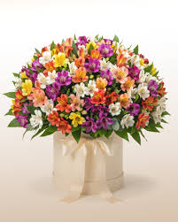 Foto de Caja alstromerias 